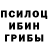 Псилоцибиновые грибы Cubensis Faraon0699