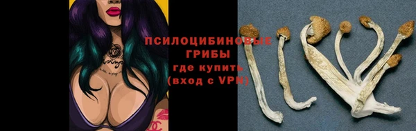 таблы Белокуриха