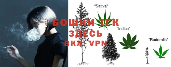 таблы Белокуриха
