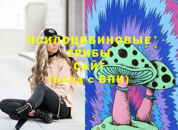 первитин Заполярный
