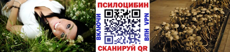 где купить наркоту Верхотурье мега ONION Галлюциногенные грибы прущие грибы